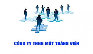 Thành lập công ty TNHH 1 thành viên cần tuân thủ theo đúng quy định