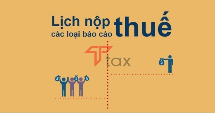 Thuế được nộp theo các mốc thời gian quy định
