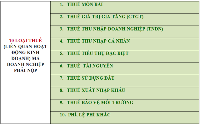 Các loại thuế mà doanh nghiệp phải nộp