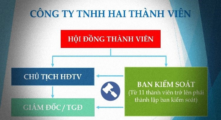 Cơ cấu của công ty TNHH 2 thành viên