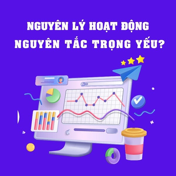 Các nguyên tắc kế toán cơ bản hiện nay được áp dụng như thế nào?