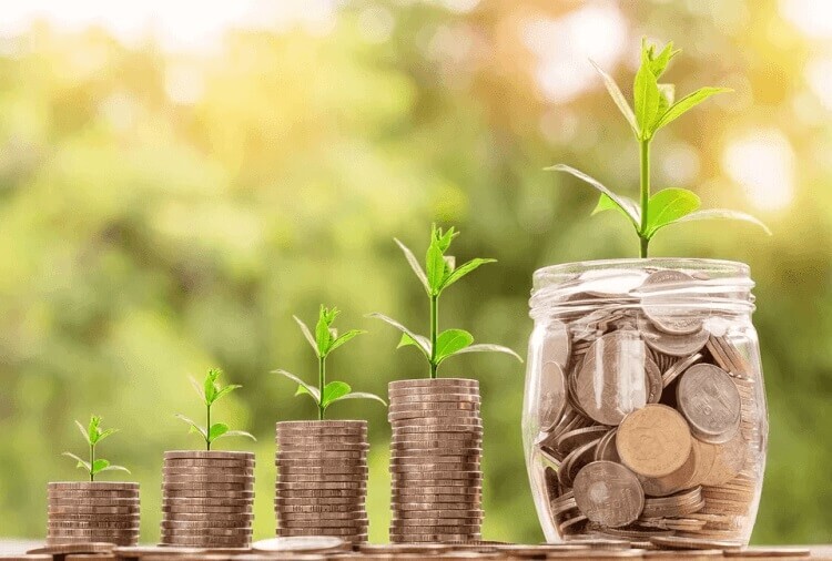 Quỹ dự trữ bổ sung vốn điều lệ sẽ trích 5% lợi nhuận sau thuế