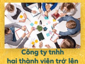 Chi tiết cơ cấu tổ chức công ty TNHH 2 thành viên