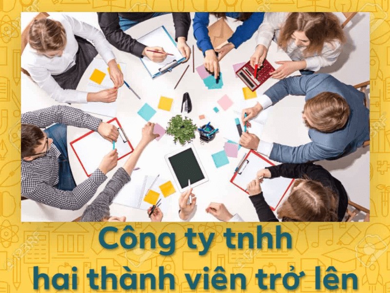 Chi tiết cơ cấu tổ chức công ty TNHH 2 thành viên
