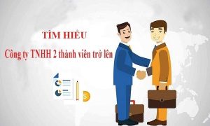 Tổng quan đặc điểm công ty TNHH 2 thành viên