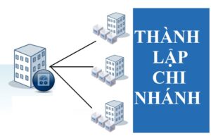 [Mới Nhất] Thủ Tục Mở Chi Nhánh Công Ty Ở Tỉnh Khác Chi Tiết